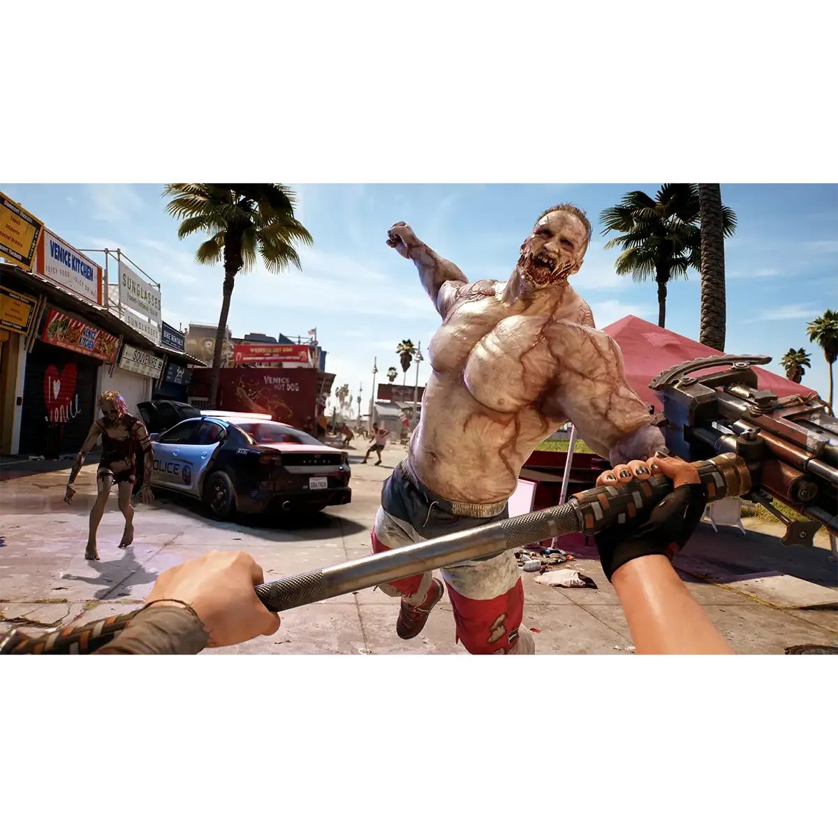  Dead Island 2: Day 1 Edition - PlayStation 4 : Plaion Inc:  Everything Else